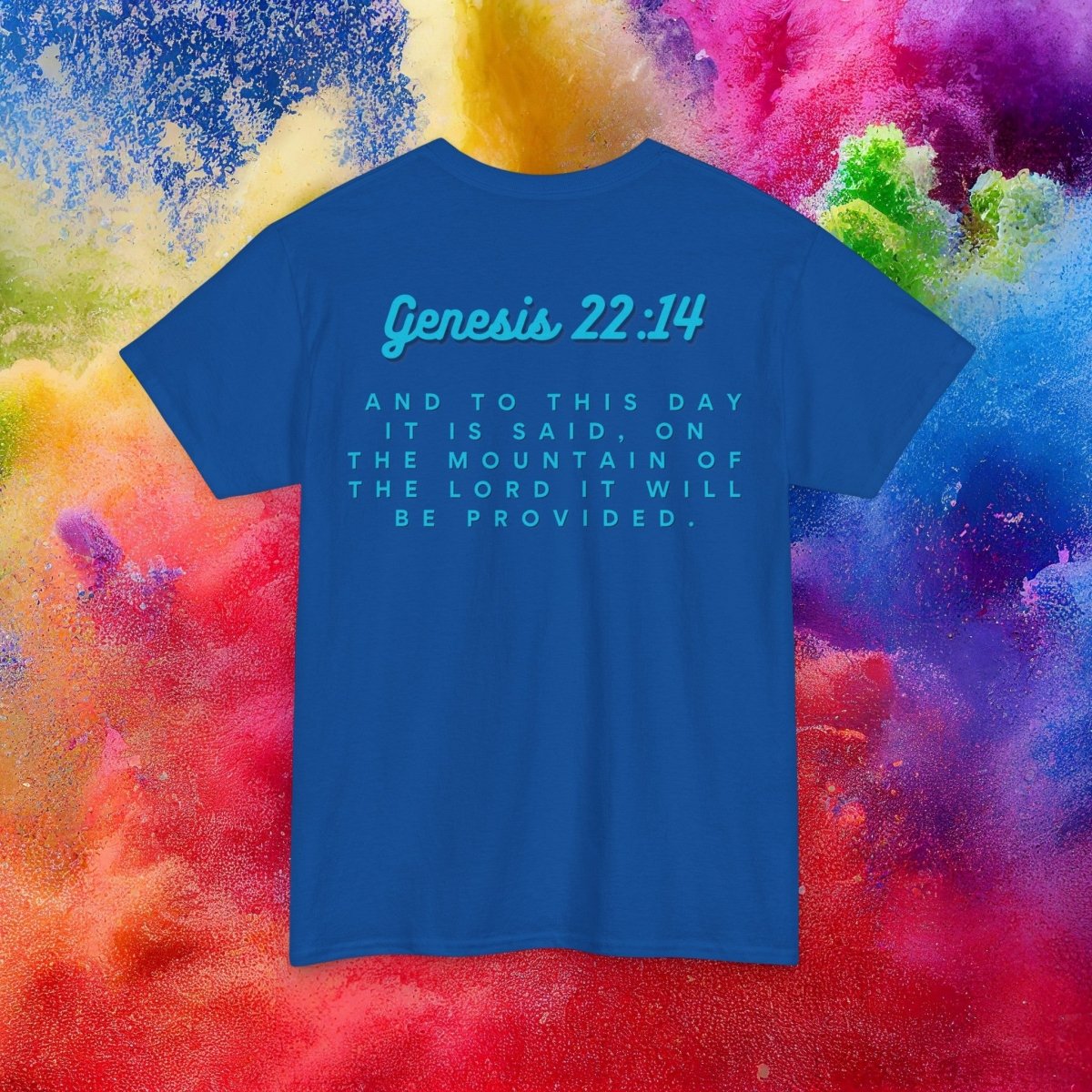 Women's "Lord Provides" Series: Heavy Cotton Tee - Plain Vision Brand